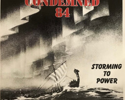 R-28923940-1700069829-2492